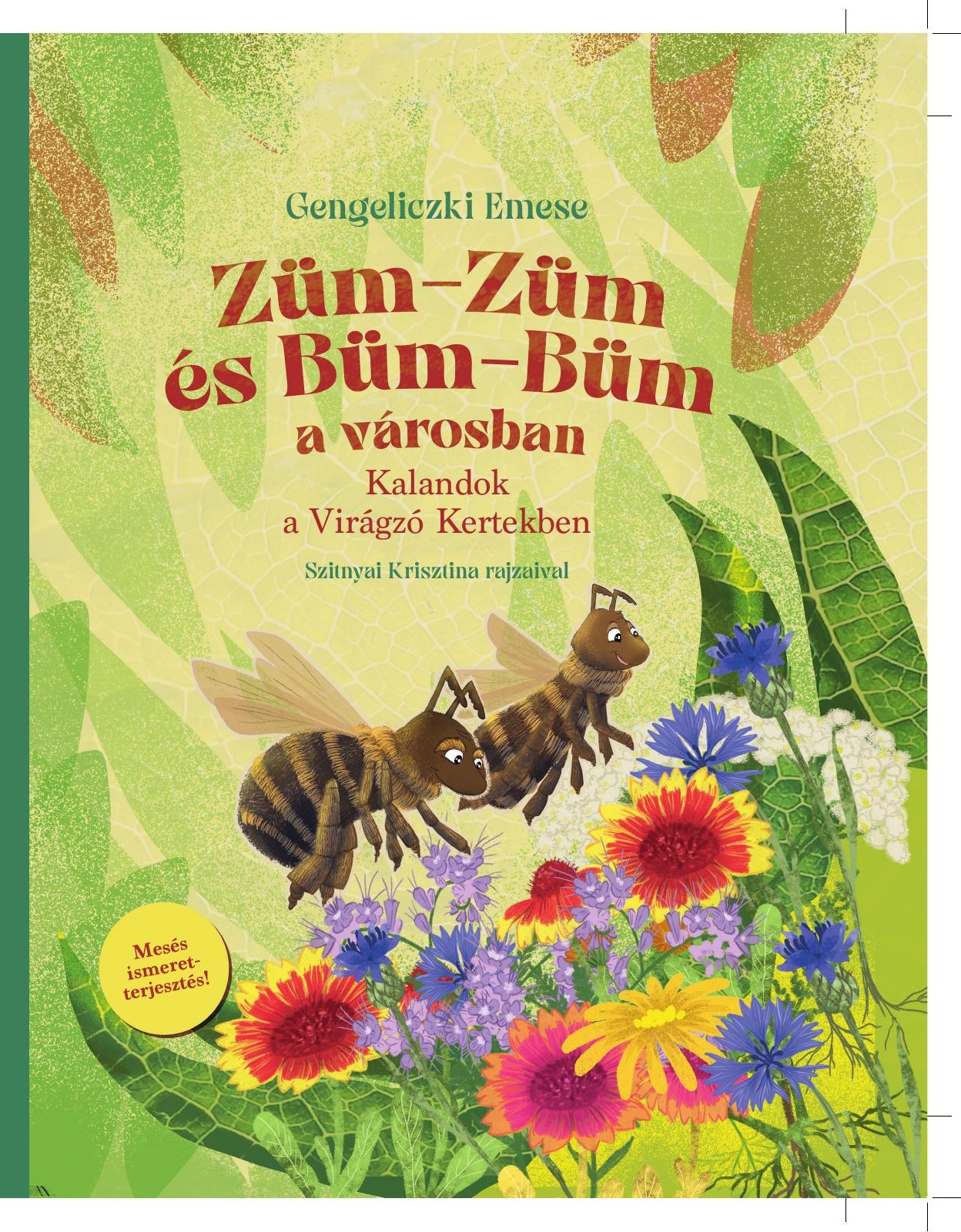 Züm-Züm és Büm-Büm a városban könyv borítója